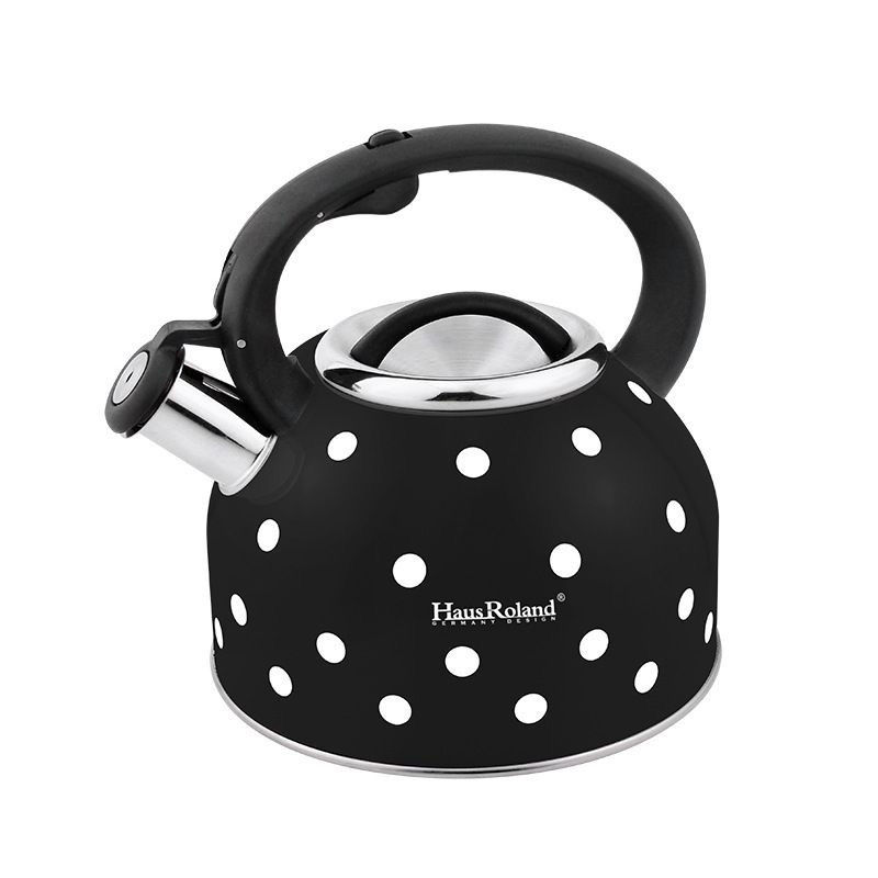Bollitore a gas di grande capa - Home Cooking Gas recensione e prezzo