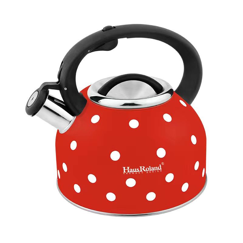 Bollitore a gas di grande capa - Home Cooking Gas recensione e prezzo