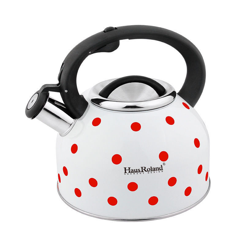 Bollitore a gas di grande capa - Home Cooking Gas recensione e prezzo