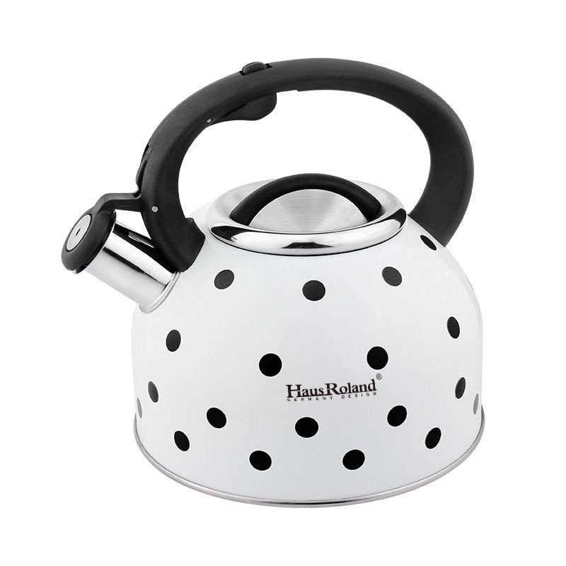 Bollitore a gas di grande capa - Home Cooking Gas recensione e prezzo